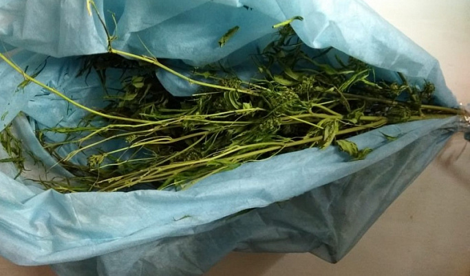 У 49-летнего мужчины в Тверской области нашли 400 граммов «травки»