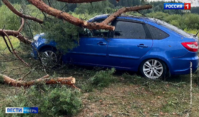 Ураган в Тверской области повалил деревья и повредил автомобили