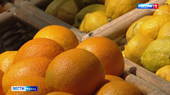 Щитовки и мраморные клопы: в Твери фрукты проверяют на карантинных вредителей