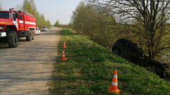В Тверской области легковушка врезалась в дерево, водитель погиб