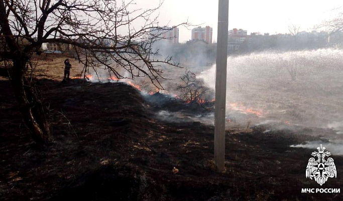 В Тверской области зарегистрированы первые ландшафтные пожары 