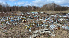 Крупную свалку строительных отходов ликвидировали в Калязинском районе 