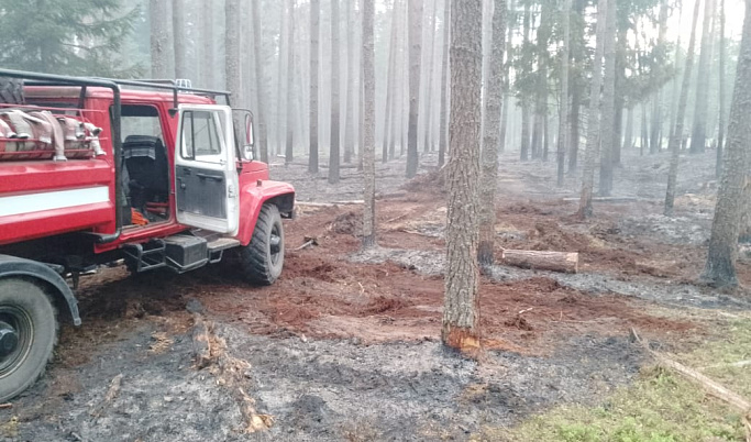Первый в этом сезоне лесной пожар ликвидировали в Тверской области