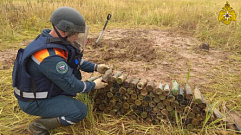 В Ржевском районе обнаружили 183 бутылки с зажигательной смесью