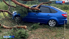 Ураган в Тверской области повалил деревья и повредил автомобили