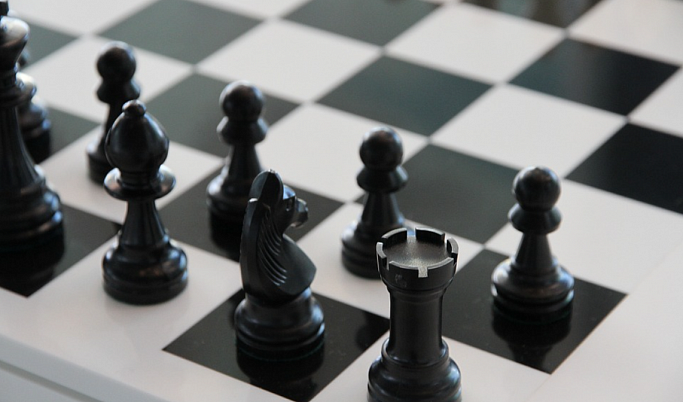 Жителей Твери приглашают на «Медвежьи шахматы»