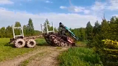 В Тверской области бизнесмен незаконно вырубил лес на 11 млн рублей