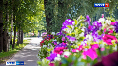Жители Лихославля могут забрать цветы с улиц к себе домой