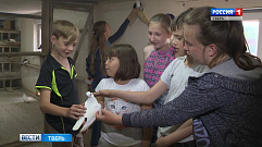 В Ржеве открылся первый в России детский клуб голубеводов
