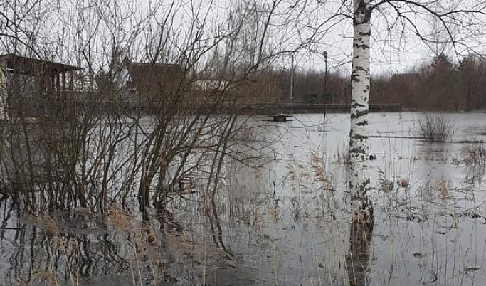 В МЧС предупредили о подъёме воды в реке Молога в Тверской области