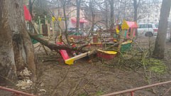 Упавшая ветка сломала детскую площадку в центре Твери