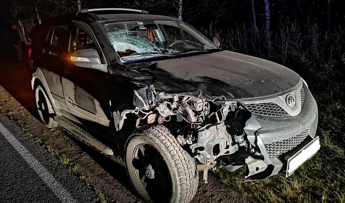 Пенсионер погиб под колёсами авто в Тверской области