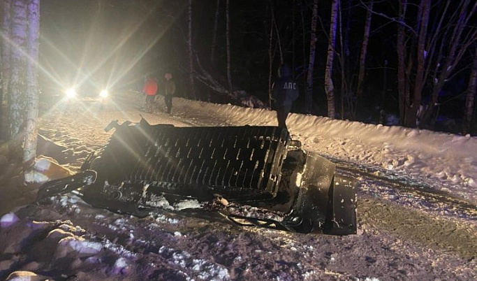 В Тверской области мужчина погиб, врезавшись на снегоходе в дерево