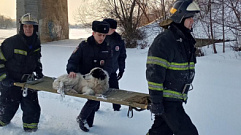 В Кимрах спасатели вытащили собаку из ледяной воды 