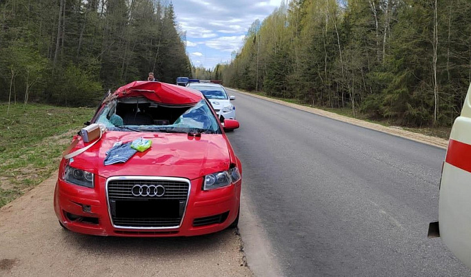 В Тверской области иномарка Audi сбила лося 