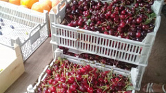 На рынке в Пено торговали арбузами, черешней и саженцами с нарушениями
