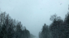 Туман накроет Тверскую область 31 декабря