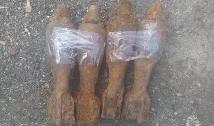 В Западной Двине обнаружили 4 снаряда для миномёта