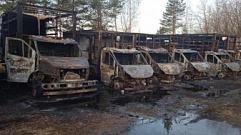 По факту возгорания 42 грузовиков в Твери возбуждено уголовное дело