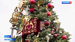 Новогодняя ель Тверской области украсила ВДНХ