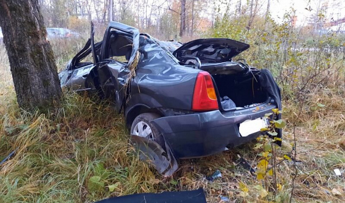 В Тверской области водитель врезался в дерево и получил перелом позвоночника