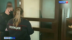 Суд оправдал обвиняемых в убийстве лосихи у Тверской области