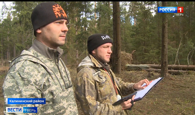 В Тверской области приступили к обследованию лесных массивов