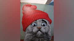 Удивленный кот в красной шапке украсил подъезд дома в Твери