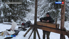 Сотрудники заповедника в Тверской области подкармливают лосей солью 