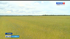 Тверская область станет площадкой для проведения Всероссийского дня льняного поля