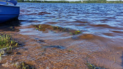 Из-за трагедий на воде в Ржевском районе ввели запрет на купания