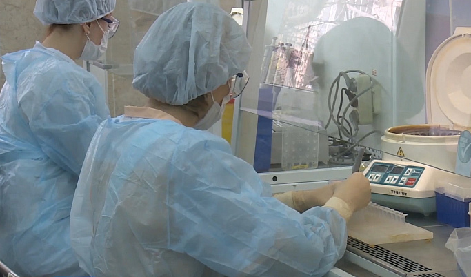 34 новых случая коронавируса выявлено в Тверской области