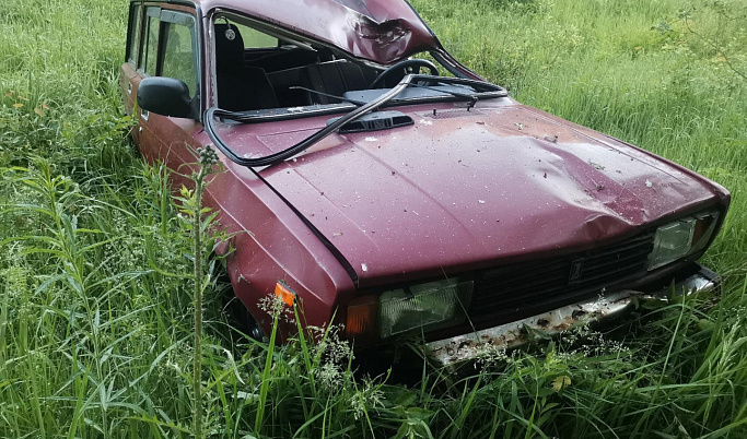 В Тверской области в ДТП с лосем пострадал водитель легковушки