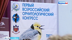 В Твери открылся Всероссийский орнитологический конгресс