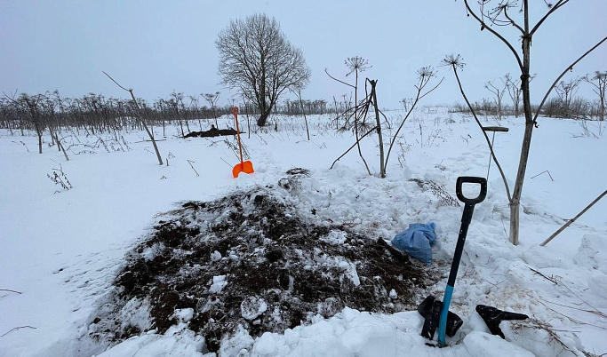 В Ржевском районе поисковики нашли останки двух солдат Красной армии