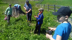Школьники Пеновского района высадили дубовую рощу возле истока Волги