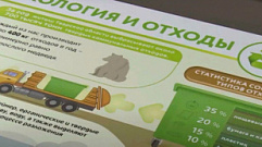 Свыше 3400 контейнеров для раздельного сбора мусора появится в Тверской области