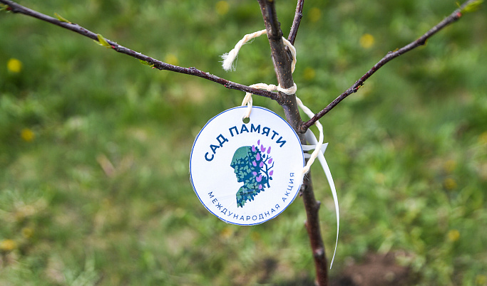 Тверская область заняла 2 место по количеству высаженных деревьев в международной акции «Сад памяти»