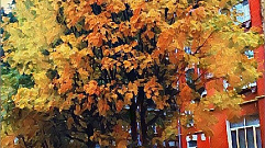 Осенняя Тверь | Фото