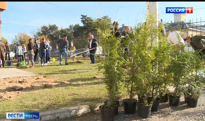 Представители кадастровой палаты совместно со студентами высадили деревья у общежития в Твери             