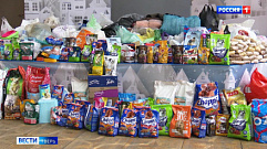 Жители Твери пожертвовали бездомным животным более 400 кг еды
