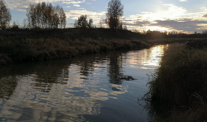 В Тверской области русло реки Кашинки становится чище