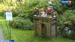 Тверской ботанический сад ищет старые вещи для выставки