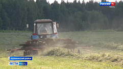 В Тверской области аграрии начали заготовку кормов для животных