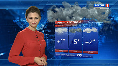 В Тверской области сохраняется нетипично теплая для ноября погода