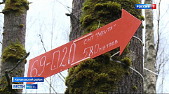 Волонтеры оставляют в лесах Тверской области ориентиры для грибников