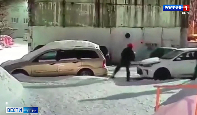 Разбили битами машины, егерь нашел убитого лося: происшествия в Тверской области 15 марта