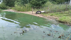 Причиной «ядовитой» окраски воды под Конаково стало цветение водорослей 