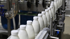 В Тверской области российские производители молочной продукции подводят итоги работы в 2022 году 
