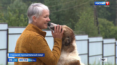В Старицком муниципальном округе сохраняют уникальную породу собак 